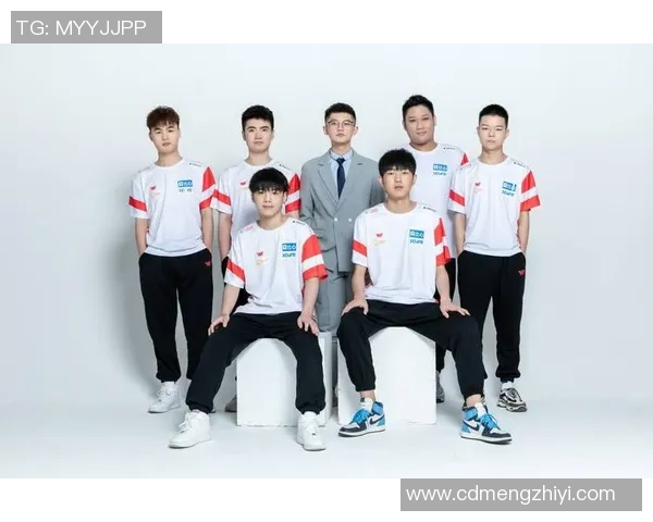 王者荣耀战术排行榜揭晓WE战队荣登第五名引发热议